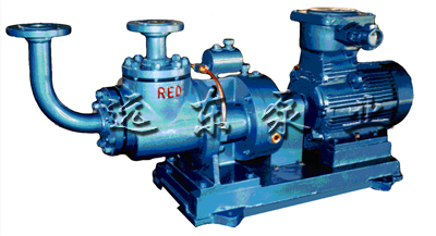 加气站双螺杆LPG抽吸泵-泊东泵业制造有限公司