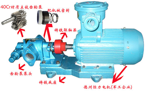 泊东泵业KCB齿轮泵组成