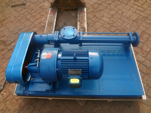 G35-3V-W101单螺杆泵-泊东泵业